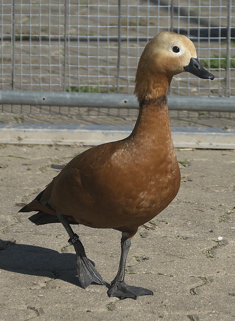 体系