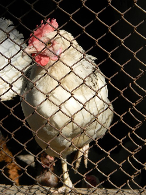 必将随着时 必将随着时