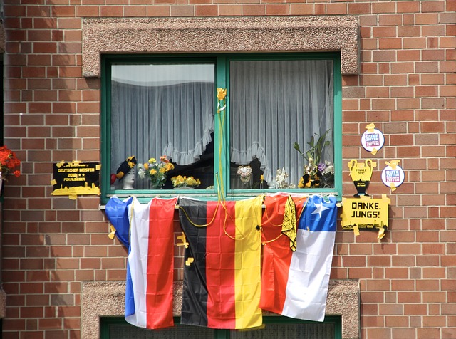 被引进后往 被引进后往