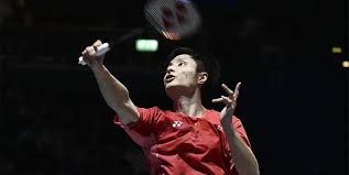 性和专业性 性和专业性