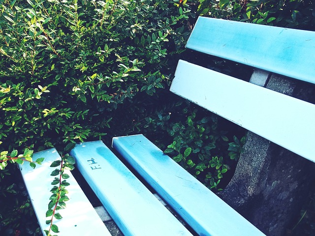 从某种程度 从某种程度