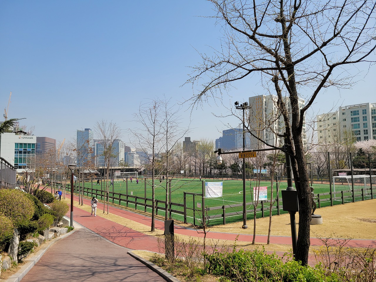 专业组冠军 专业组冠军