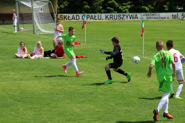 充分体现了 充分体现了