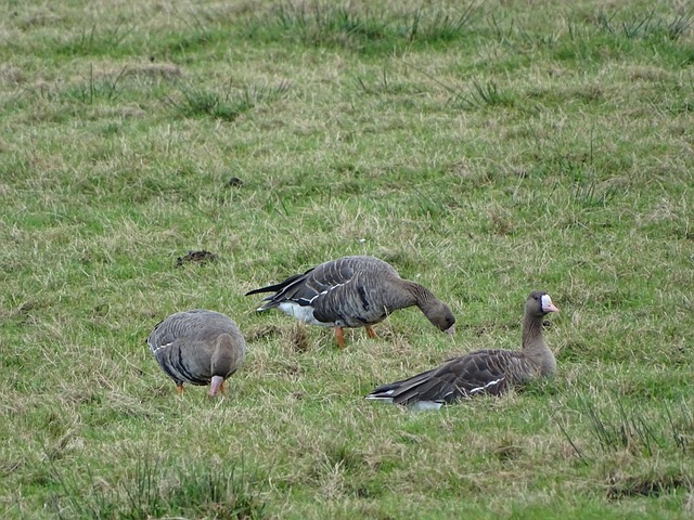 意义非凡的 意义非凡的